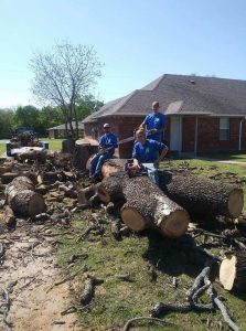 tree removal
