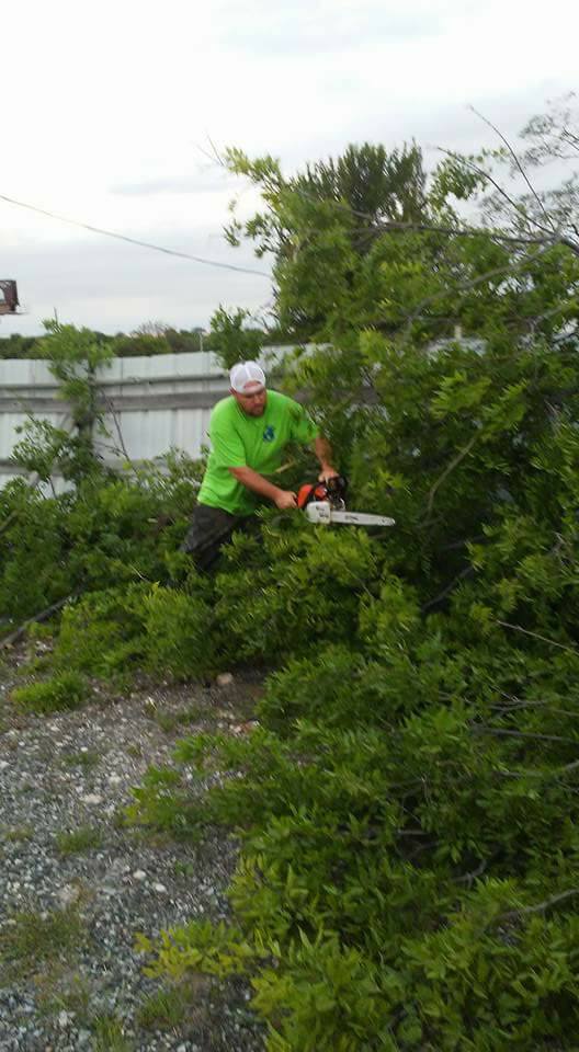 Reliable Tree Removal services in Durant, OK, 74701