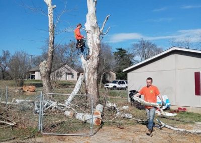 stump grinders