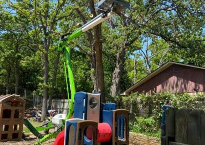 tree companies