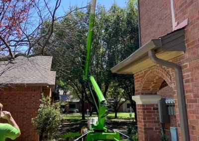 Affordable Tree Cutting Service