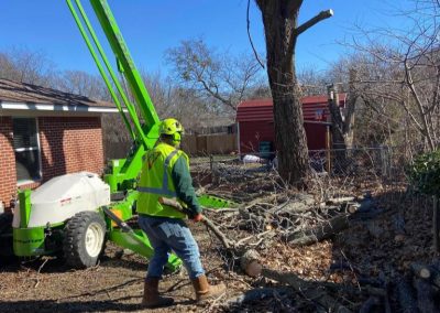 Efficient Tree Cutting Service