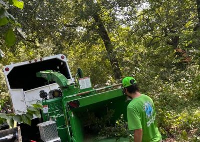 Experienced Tree Cutting Service