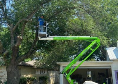 Reliable Tree Cutting Service