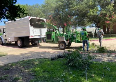 Tree Stump Removal