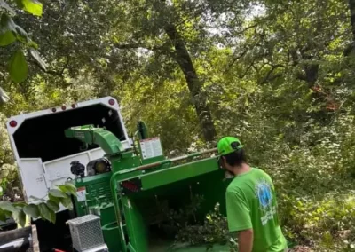 Experienced-Tree-Cutting-Service