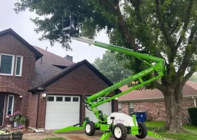 Tree Cutting Service