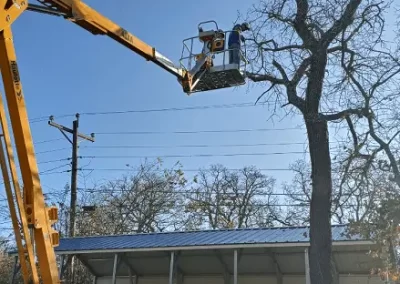 Tree Specialist